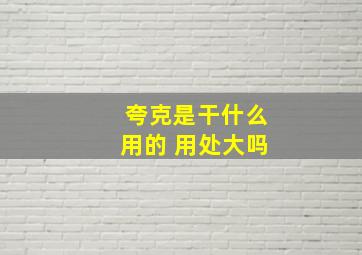 夸克是干什么用的 用处大吗